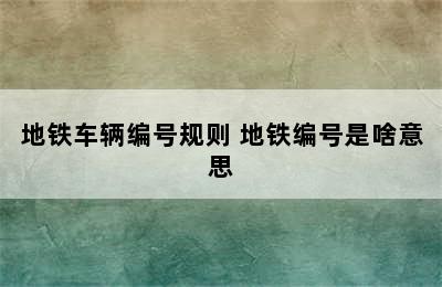 地铁车辆编号规则 地铁编号是啥意思